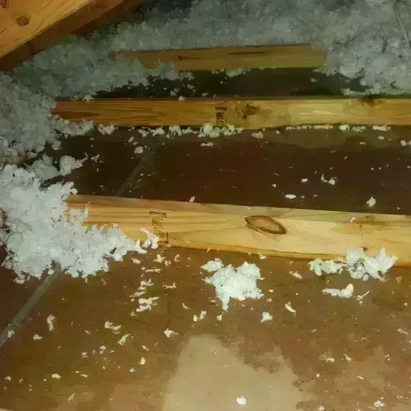 Attic Water Damage in Union County, IA